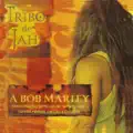 Roots Rock Reggae