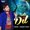 Toota Dil - Single