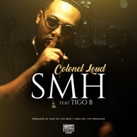 Shakin My Head - Single - Colonel Loud