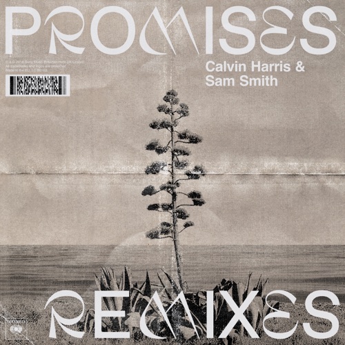  Promise (Dance Remix)