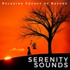 Serenity Sounds: Relaxing Energy of Nature, Rain, Rainforest, Birds, Crickets and River