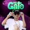 Na Ponta do Pé (feat. Mc Lara & MC Vertinho) - Mc Gato lyrics