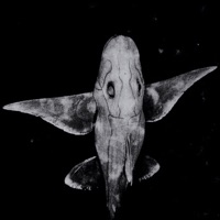 Lichtlos (Remix EP) - Hnrk