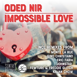 Impossible Love the Remixes