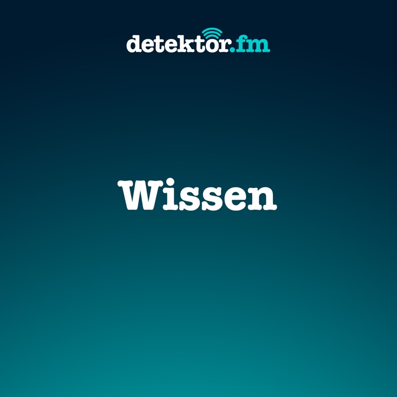 Wissen – detektor.fm