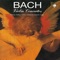 Violin Concerto in E Major, BWV 1042: II. Adagio artwork