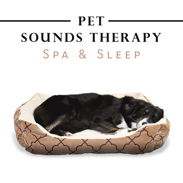 Pet Sounds Therapy: Spa & Sleep, Calming and Relaxing Music for Dog and Cat Ears, Dog and Cats Anxiety, Calm Kitty, Sounds for Pet Massage and Beauty, Natural Sleep Aid