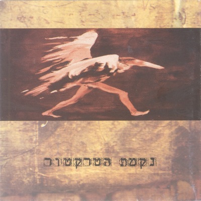 ארונות מטבח