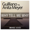 Why Tell Me Why - Single