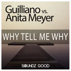 Why Tell Me Why - Single - Anita Meyer Why Tell Me Why - Single - Anita Meyer