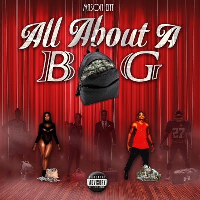 All About a Bag (feat. Erica Von, LB DaCeo & Shnook) - Single