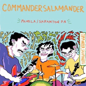 Pamela / Skramton PA - Single