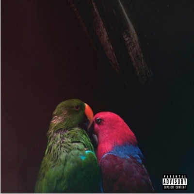 Flying Blind - Single