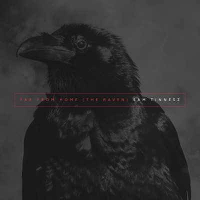 Far From Home (The Raven) - Sam Tinnesz | Shazam