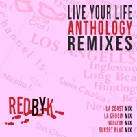 Live Your Life (Anthology Remixes) - EP - RedByK