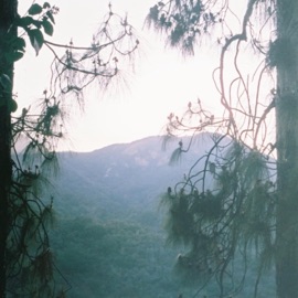 Nice Day, Climb a Tree (feat. Floro) Joe Nora