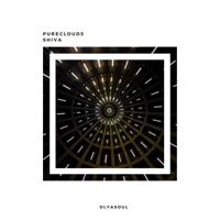 Album cover for Shiva - Single by Purecloud5