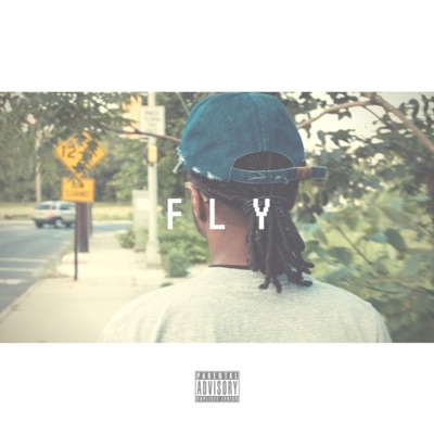 Fly - Single