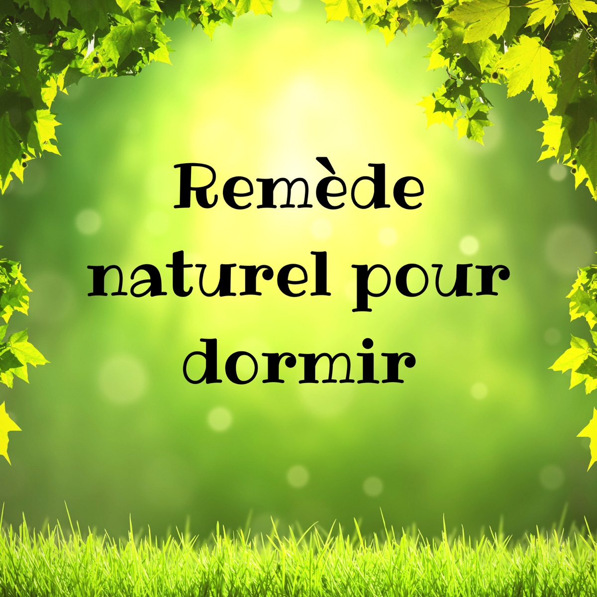 25 Musique pour Dormir, Douce Mémoire, Sons de la Nature, Sommeil profond -  Album by Douce Nuit - Apple Music