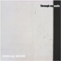 Through My Walls - Single - Nosizwe & DJ Soulbase
