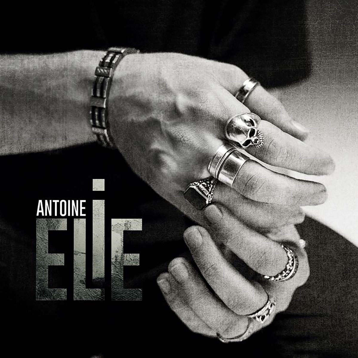 La rose et l'armure (Radio Edit) - Single by Antoine Elie on Apple Music