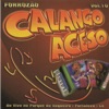 Calango Aceso, Vol. 10 (Ao Vivo)