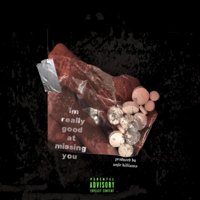 I'm Really Good at Missing U - Single