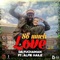 So Much Love (feat. Alfie Haile) - Da Fuchaman lyrics
