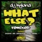 What Else (MSdoS Remix) - DJ Hybrid & MsDoS lyrics