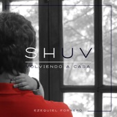 Shuv (Volviendo a Casa) artwork