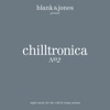 Chilltronica No. 2 - Music for the Cold & Rainy Season, 2010
