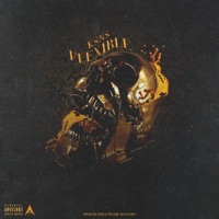 Flexible - Single - KSNS