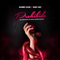 Prohibido - Single