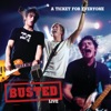 Busted - Year 3000