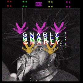Gnarly (feat. Tim Duzit) Ugø