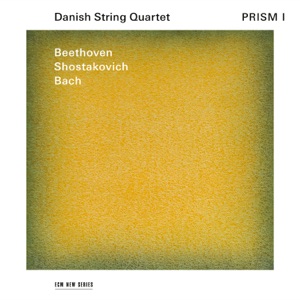String Quartet No. 15 in E-Flat Minor, Op. 144: III. Intermezzo. Adagio