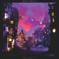 Shakey Graves - Can't Wake Up artwork