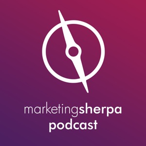 MarketingSherpa Podcast #5: Ten things you should think about before you do your next website redesign