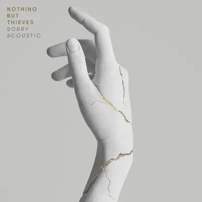 Sorry (Acoustic) - Single - Nothing But Thieves