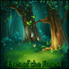 Eyes of the Forest - Brandon Fiechter