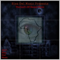 The God's of House Music - Single - Blaq Owl