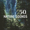 50 Nature Sounds