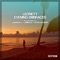 Evening Embraces (Lumidelic Remix) - Leonety lyrics