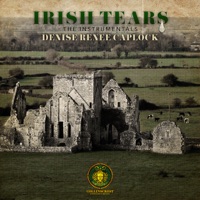 Irish Tears: The Instrumentals - EP - Denise Renee Caplock