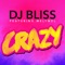 Crazy (feat. Melymel) - DJ Bliss lyrics