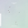 Lycoriscoris - Flight
