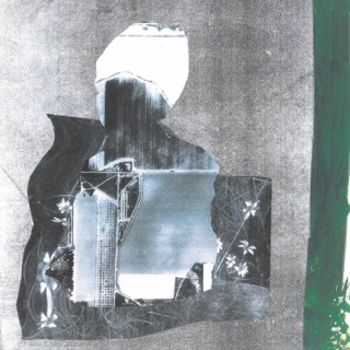 Plays Pillory Crown Shyness