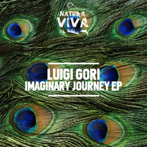 Imaginary Journey - EP