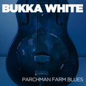Parchman Farm Blues artwork