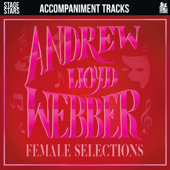 Don't Cry For Me Argentina (From the Musical 'Evita') [Instrumental Version]